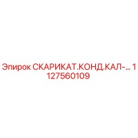1127560109 СКАРИКАТ.КОНД.КАЛ-... Epiroc