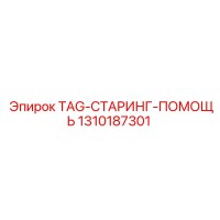 1310187301 TAG-СТАРИНГ-ПОМОЩЬ - Epiroc