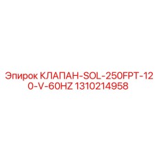 1310214958 SOL Valve 250FPT 120V 60Hz Epiroc