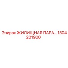 1504201900 ЖИЛИЩНАЯ ПАРА Epiroc