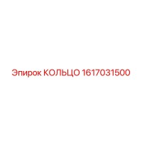 1617031500 КОЛЬЦО Эпирок