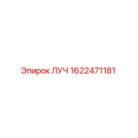 1622471181 ЛУЧ Epiroc
