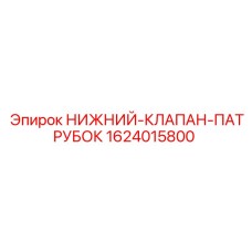 1624015800 НИЖНИЙ-КЛАПАН-ПАТРУБОК - Epiroc