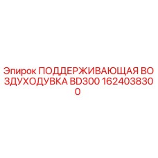1624038300 ПОДДЕРЖИВАЮЩАЯ ВОЗДУХОДУВКА BD300 (Epiroc)