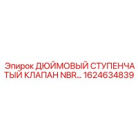 1624634839 ДЮЙМОВЫЙ СТУПЕНЧАТЫЙ КЛАПАН NBR Epiroc
