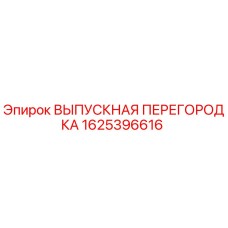 1625396616 ВЫПУСКНАЯ ПЕРЕГОРОДКА Epiroc