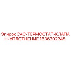 1636302245 CAC-ТЕРМОСТАТ-КЛАПАН-УПЛОТНЕНИЕ Epiroc