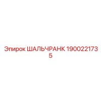 1900221735 ШАЛЬЧРАНК Epiroc