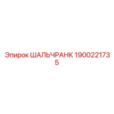 1900221735 ШАЛЬЧРАНК Epiroc