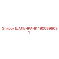 1900899031 ШАЛЬЧРАНК Epiroc