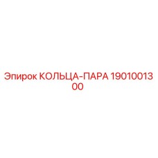 1901001300 КОЛЬЦА-ПАРА Epiroc