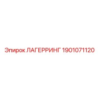 1901071120 ЛАГЕРРИНГ Эпирок