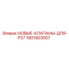 1901903557 НОВЫЕ-КЛАПАНЫ-ДЛЯ-P37 Epiroc