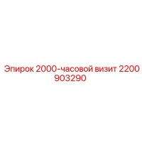 2200903290 2000-часовой визит Epiroc