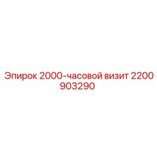 2200903290 2000-часовой визит Epiroc