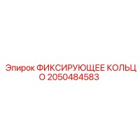 2050484583 ФИКСИРУЮЩЕЕ КОЛЬЦО Epiroc