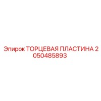 2050485893 ТОРЦЕВАЯ ПЛАСТИНА Epiroc