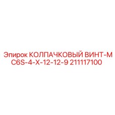 211117100 КОЛПАЧКОВЫЙ ВИНТ-MC6S-4-X-12-12-9 Epiroc