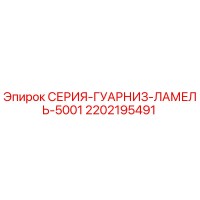 2202195491 СЕРИЯ-ГУАРНИЗ-ЛАМЕЛЬ-5001 Epiroc