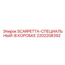 2202208392 SCARPETTA-СПЕЦИАЛЬНЫЙ-В КОРОБКЕ Epiroc