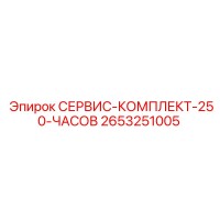 2653251005 СЕРВИС-КОМПЛЕКТ-250-ЧАСОВ Epiroc