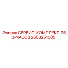 2653251005 СЕРВИС-КОМПЛЕКТ-250-ЧАСОВ Epiroc