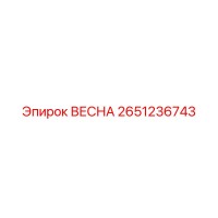 2651236743 ВЕСНА Epiroc