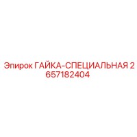 2657182404 ГАЙКА-СПЕЦИАЛЬНАЯ Эпирок