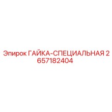 2657182404 ГАЙКА-СПЕЦИАЛЬНАЯ Эпирок