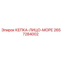 2657284002 КЕПКА-ЛИЦО-МОРЕ Epiroc