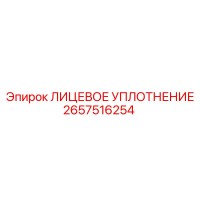 2657516254 ЛИЦЕВОЕ УПЛОТНЕНИЕ Epiroc