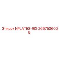 2657536005 NPLATES-RIG Epiroc
