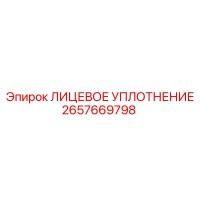 2657669798 ЛИЦЕВОЕ УПЛОТНЕНИЕ Epiroc