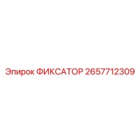 2657712309 ФИКСАТОР Epiroc
