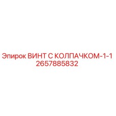 2657885832 ВИНТ С КОЛПАЧКОМ-1-1 (Epiroc)