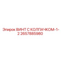 2657885980 ВИНТ С КОЛПАЧКОМ-1-2 (Epiroc)