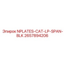 2657894206 NPLATES-CAT-LP-SPAN-BLK Epiroc