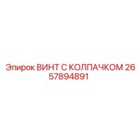 2657894891 ВИНТ С КОЛПАЧКОМ (Epiroc)
