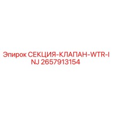 2657913154 СЕКЦИЯ-КЛАПАН-WTR-INJ Epiroc