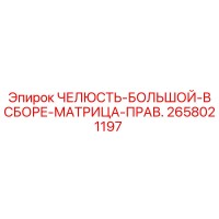 2658021197 Jaw-Large-Assembly-Matrix-Right Epiroc