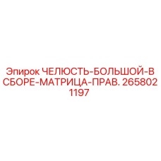 2658021197 Jaw-Large-Assembly-Matrix-Right Epiroc