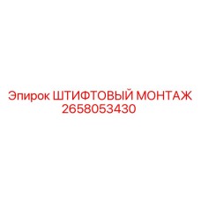 2658053430 ШТИФТОВЫЙ МОНТАЖ Epiroc