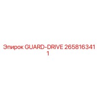 2658163411 GUARD-DRIVE Epiroc