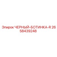 2658439248 ЧЕРНЫЙ-БОТИНКА-R Epiroc