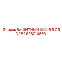 2658710876 ЗАЩИТНЫЙ ШКИВ В СБОРЕ Epiroc