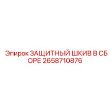 2658710876 ЗАЩИТНЫЙ ШКИВ В СБОРЕ Epiroc