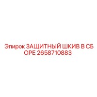 2658710883 ЗАЩИТНЫЙ ШКИВ В СБОРЕ Epiroc