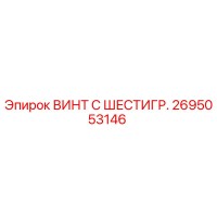 2695053146 ВИНТ С ШЕСТИГР. Epiroc
