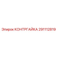 291112819 КОНТРГАЙКА Epiroc