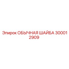 300012909 ОБЫЧНАЯ ШАЙБА Epiroc